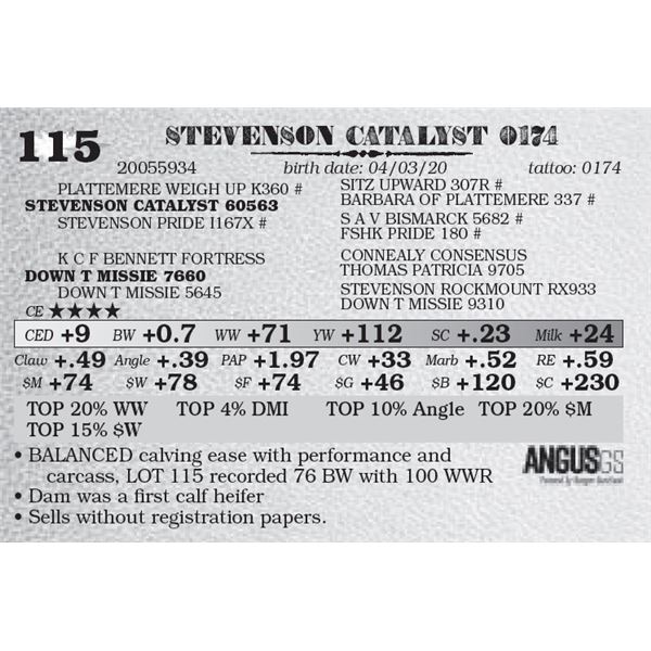 STEVENSON CATALYST 0174