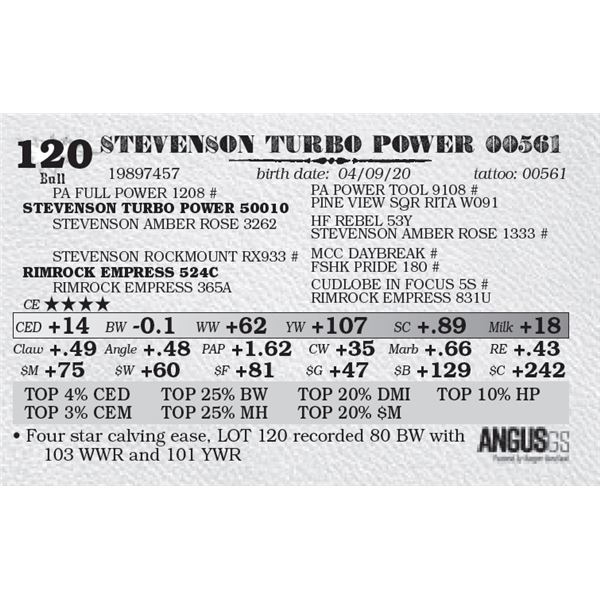 STEVENSON TURBO POWER 00561