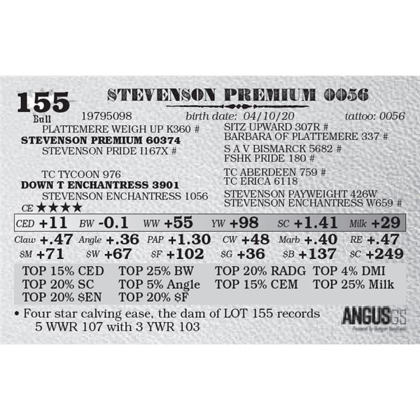 STEVENSON PREMIUM 0056