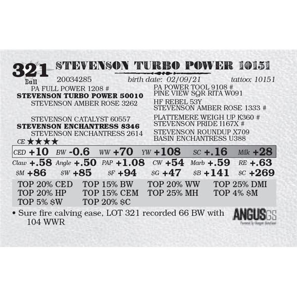 STEVENSON TURBO POWER 10151