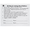 Image 1 : 25 March Calving Bred Heifers