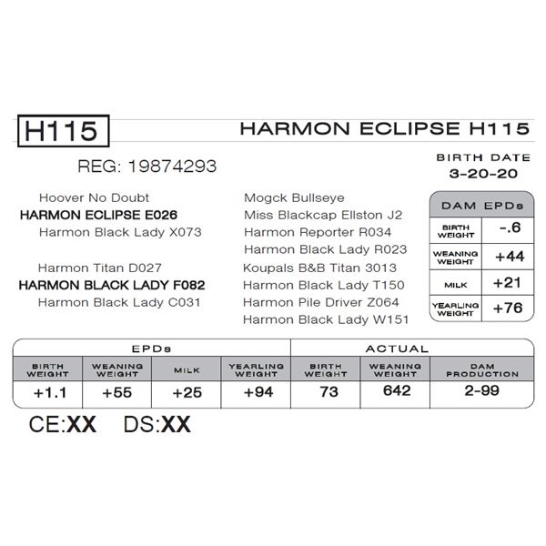 HARMON ECLIPSE H115
