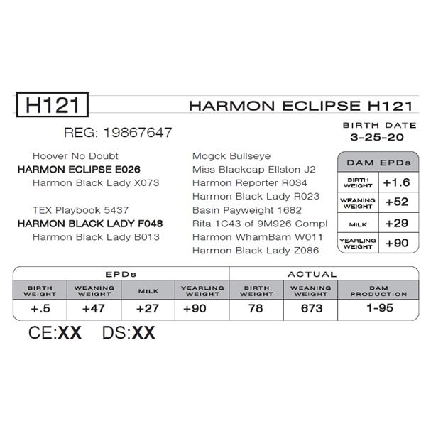 HARMON ECLIPSE H121