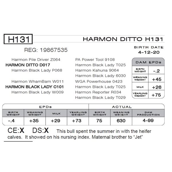 HARMON DITTO H131