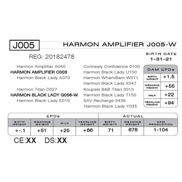 HARMON AMPLIFIER J005-W