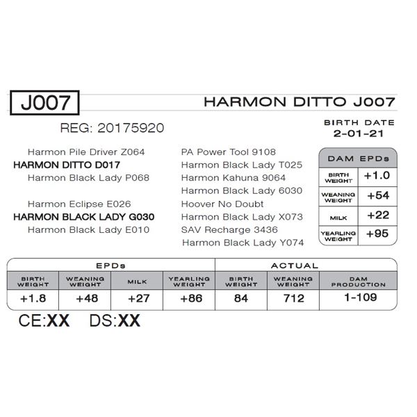 HARMON DITTO J007