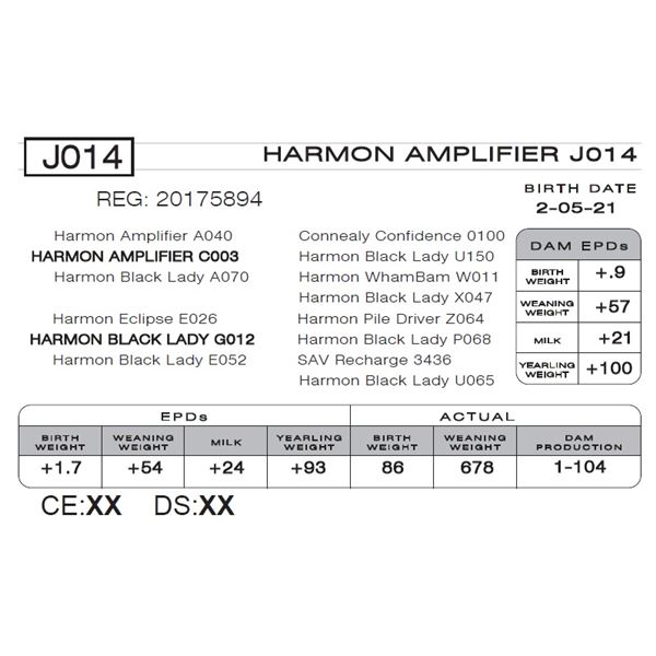 HARMON AMPLIFIER J014