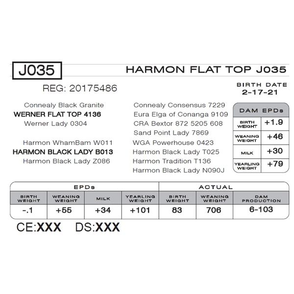 HARMON FLAT TOP J035