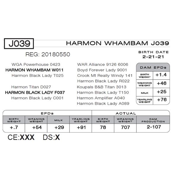 HARMON WHAMBAM J039