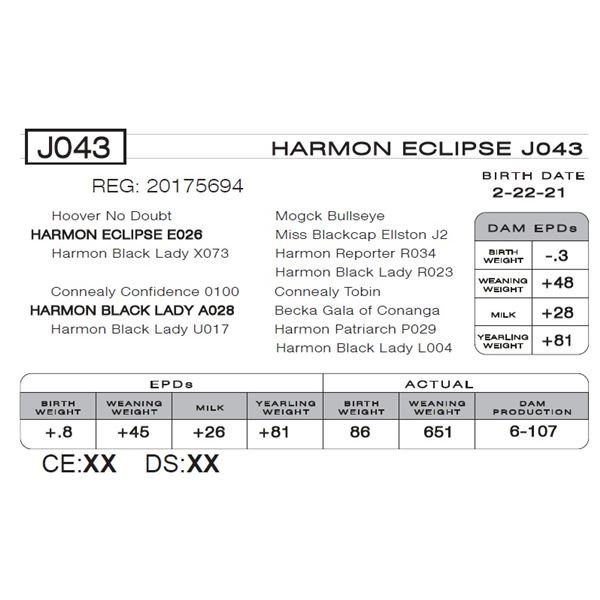 HARMON ECLIPSE J043