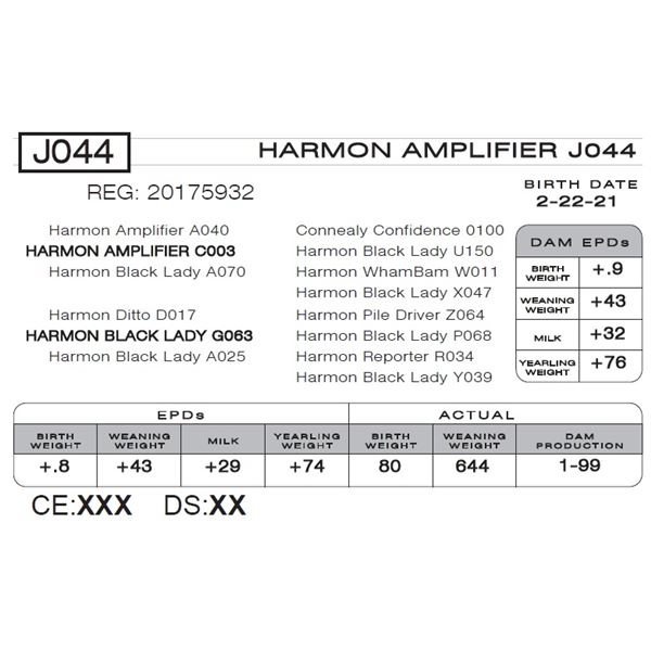 HARMON AMPLIFIER J044