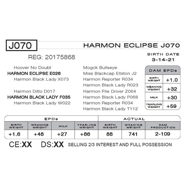 HARMON ECLIPSE J070