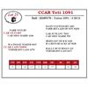 Image 1 : CCAR Yeti 1091