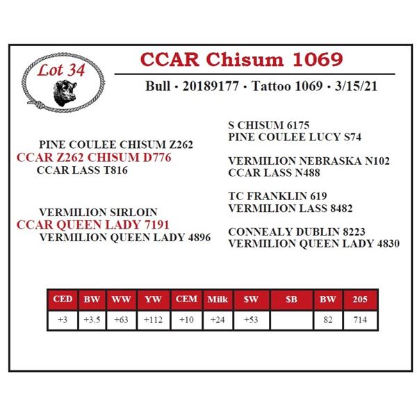 CCAR Chisum 1069