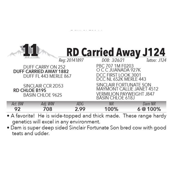 RD Carried Away J124