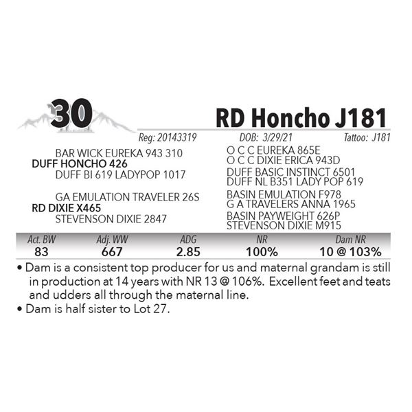 RD Honcho J181