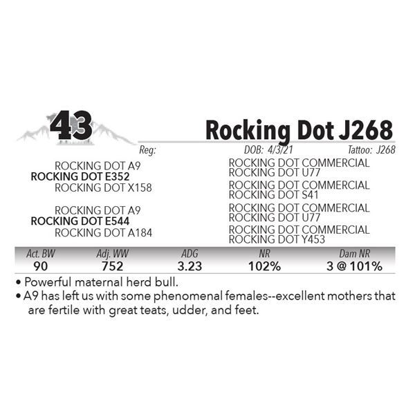 Rocking Dot J268