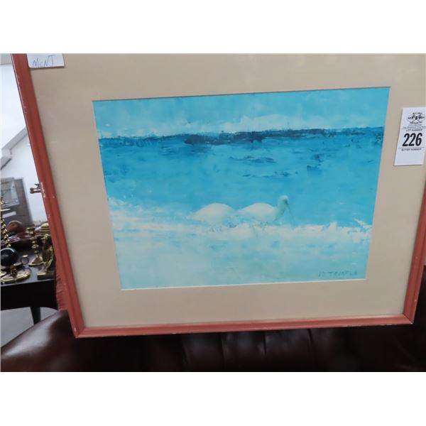 Framed Seabird Print Artist Jo Temple - 22  x 18 