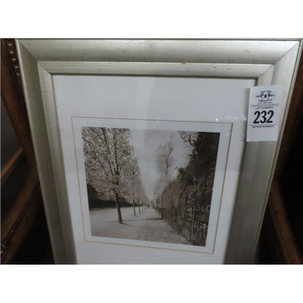 Framed Black & White Cherry Blossom Photo - 17" x 14"