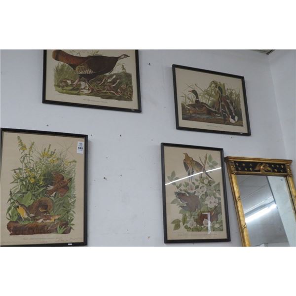 4-Framed Meadow Lark Prints - 19" x 25" - 4 X $