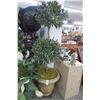 Image 1 : Ceramic Planter w/Silk Tree 3 x $