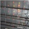 Image 7 : 4 NEW MULTICOLOR SOUND AND VIBRATION SYNC PARTY LIGHTS