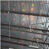 Image 7 : 4 NEW MULTICOLOR SOUND AND VIBRATION SYNC PARTY LIGHTS