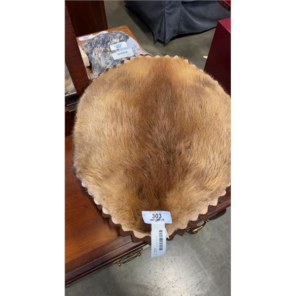 BEAVER PELT 22 X 19 INCHES