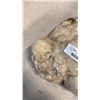 Image 4 : 15LBS OF QUARTZ CRYSTAL