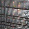 Image 7 : 4 NEW MULTICOLOR SOUND AND VIBRATION SYNC PARTY LIGHTS