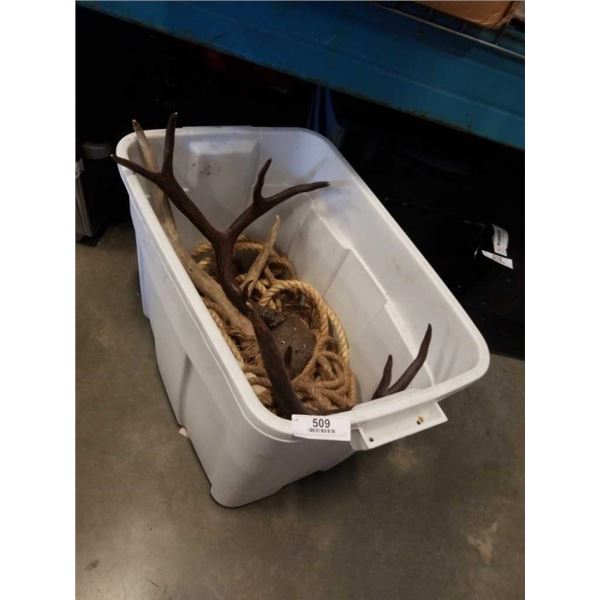 TOTE OF DEER HORNS AND ROPE