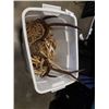 Image 2 : TOTE OF DEER HORNS AND ROPE
