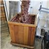 Image 2 : 7FT PLANTED EXOTIC TREE IN ROLLING PLANTER