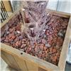 Image 4 : 7FT PLANTED EXOTIC TREE IN ROLLING PLANTER