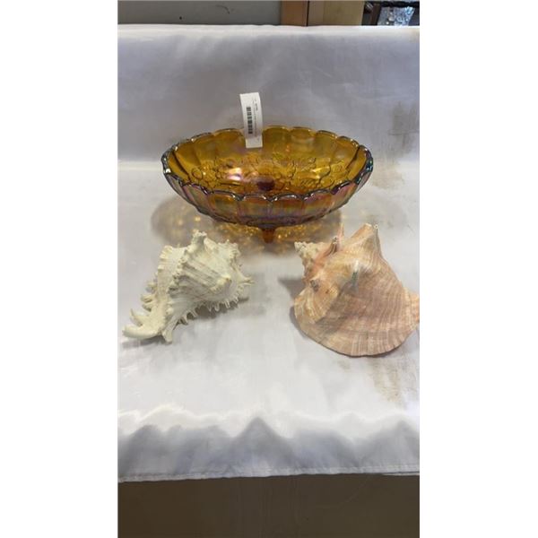 2 CONCH SHELLS AND CARNIVAL GLASS FOOTED DISH