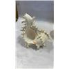 Image 2 : 2 CONCH SHELLS AND CARNIVAL GLASS FOOTED DISH