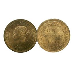 1888 ICCS MS65 Red,  100% Red lustre.  A fabu