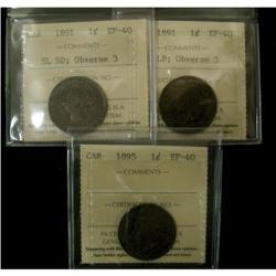Lot of 3 ICCS graded EF-40 Large Cents; 1891