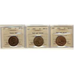Lot of 3 ICCS graded large cents,  1899 MS-62