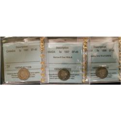 lot of 3 CCCS EF-45 graded Five Cents; 1896 D