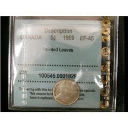 5 Cents 1909, graded CCCS EF-45; Pointed Leav