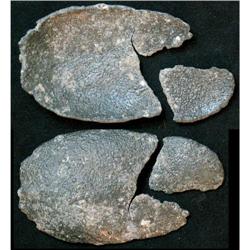 Silver spoon or the remainders of. (Aug 01255