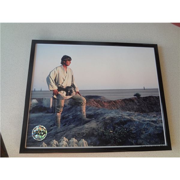 Luke Skywalker Official Licensed Photo