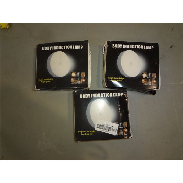 Set of 3 Body Induction Lights