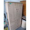 Image 2 : locking storage cabinet
