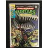 Image 1 : Teenage Mutant Ninja TURTLES Adventures #2 (ARCHIE ADVENTURE SERIES)