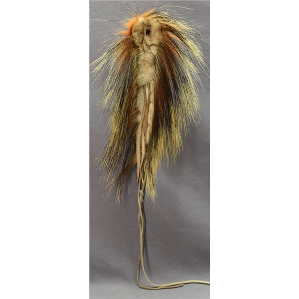 PLAINS INDIAN ROACH