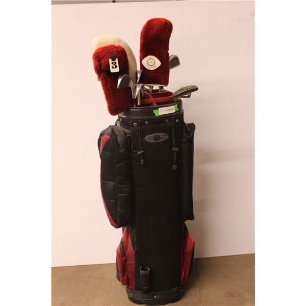 *Golf Bag with Clubs - one club is Titanium driver, (bag has balls, tees inside)