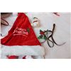 Image 4 : Lot of Christmas related, plush bears