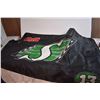 Image 4 : (3) Saskatchewan Roughrider (Pilsner) Flags